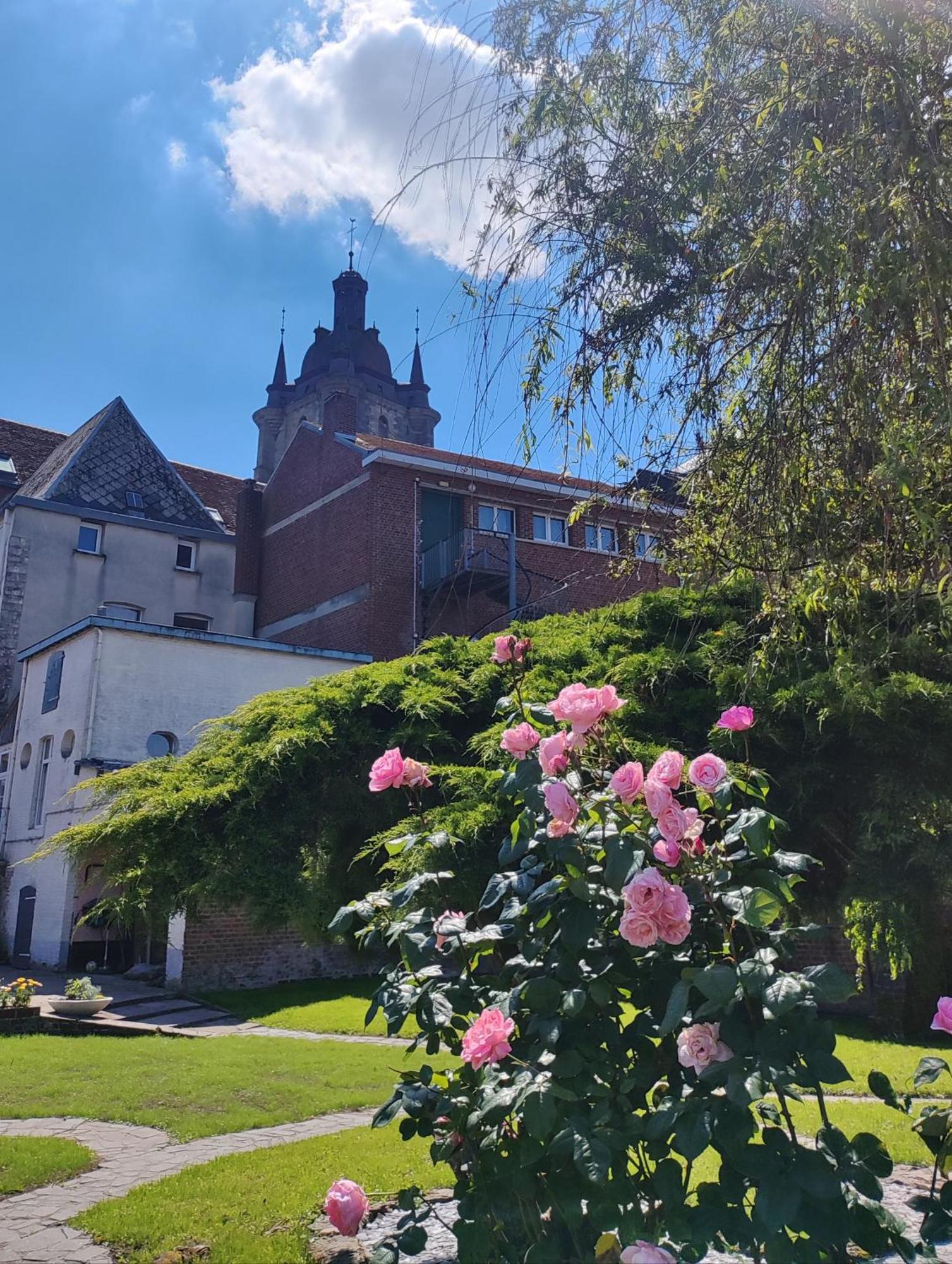 Avesnes-sur-HelpeLe Relais Napoleon住宿加早餐旅馆 外观 照片